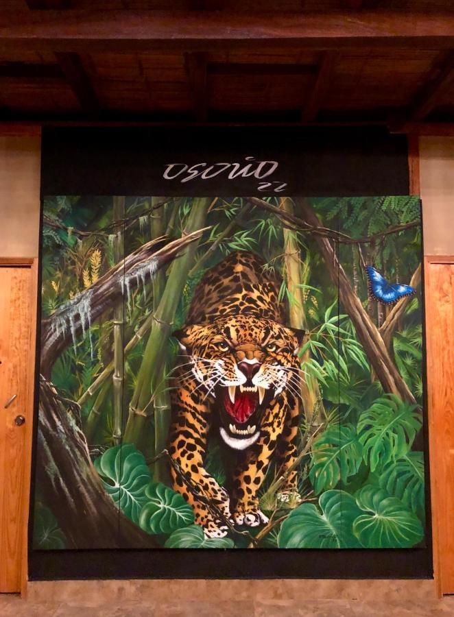 Refugio Del Jaguar Hotel Medellín Kültér fotó